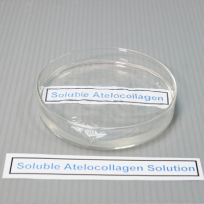 Solución Soluble de Atelocolágeno